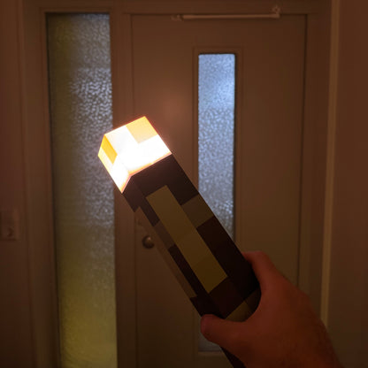 Pixel Torch – From Screen to Reality